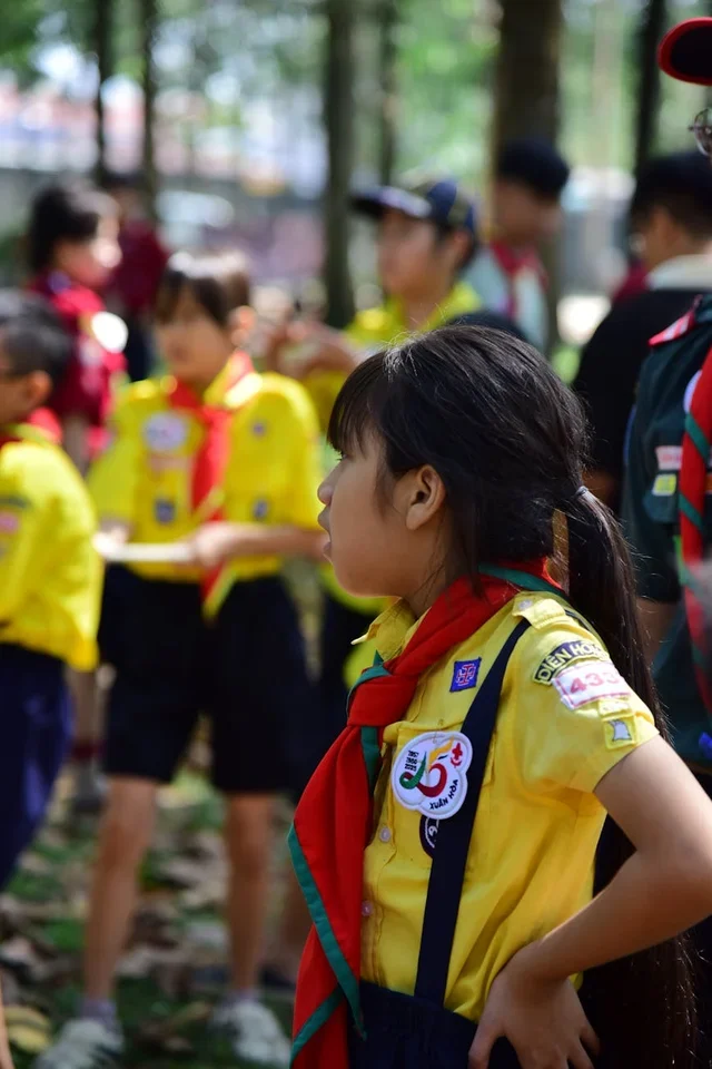Проблемы с трансляцией матчей: Руководство по устранению неполадок для новичков и фанатов